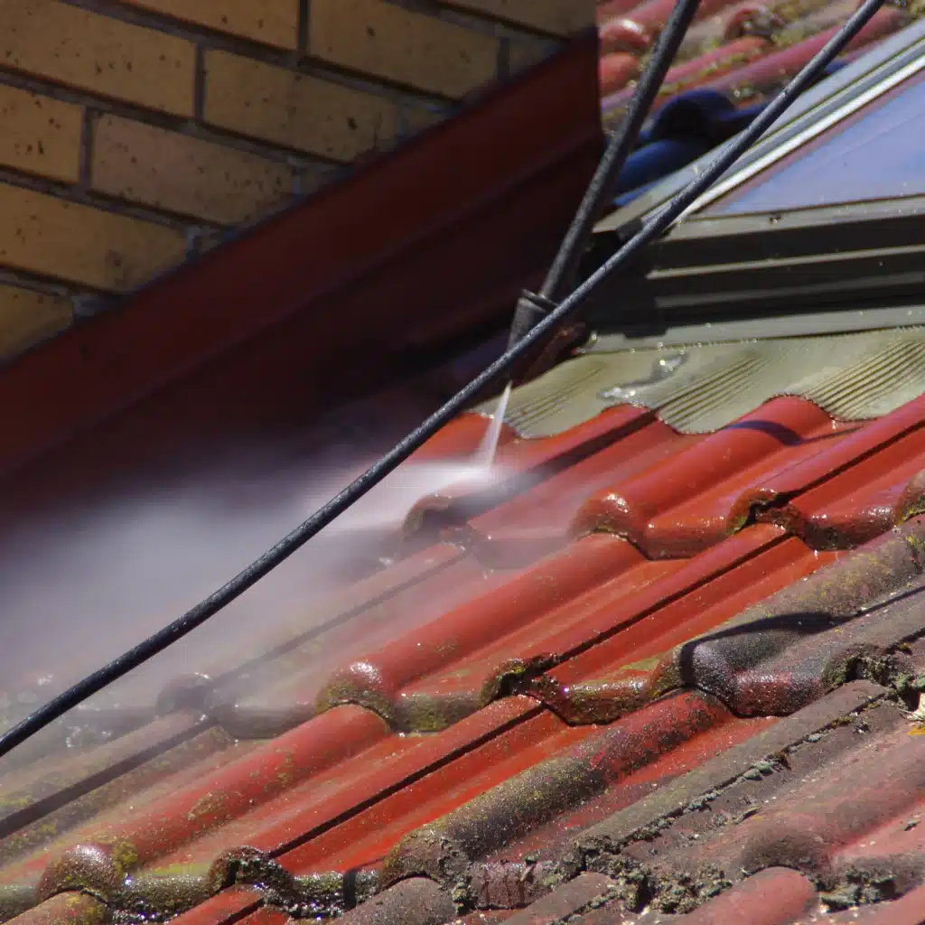 shutterstock_1438700810